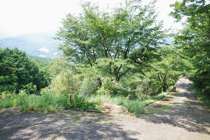 �ŐV������002018