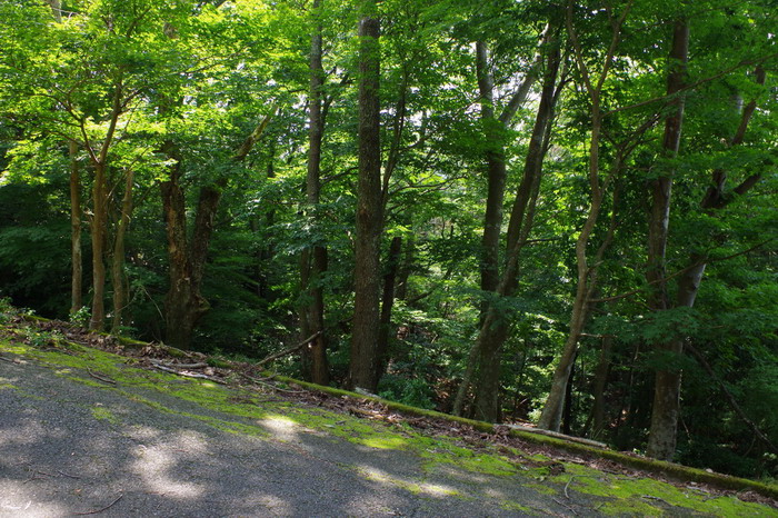 �ŐV������002019