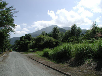 �l����������070334