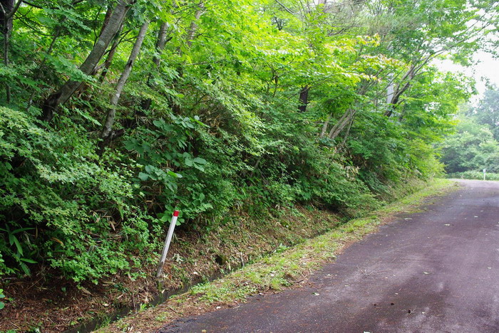 �l����������081481