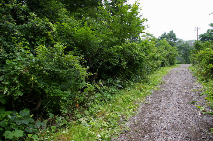 �l����������100393