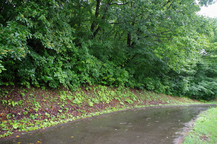 �ŐV������100496