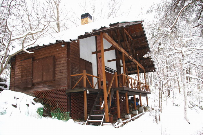 �ŐV������131132