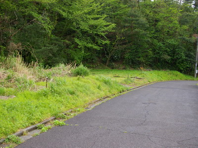 �ŐV������650087